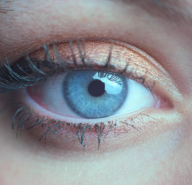 ������� ������ �����