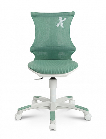 ������ ������� ��� ��������� � ��������� �������� �����  ������� �-���� 20 /SITNESS X CHAIR 20