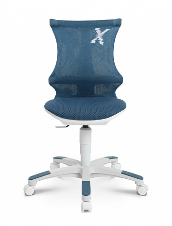 ������ ������� ��� ��������� � ��������� �������� �����  ������� �-���� 20 /SITNESS X CHAIR 20