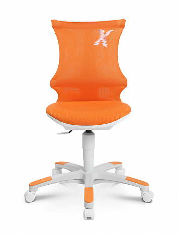 ������ ������� ��� ��������� � ��������� �������� �����  ������� �-���� 20 /SITNESS X CHAIR 20