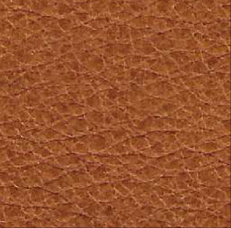 ����� ������ ������� W-CUBE 5