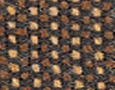 ���� ��� ���� /  ERA BLACK