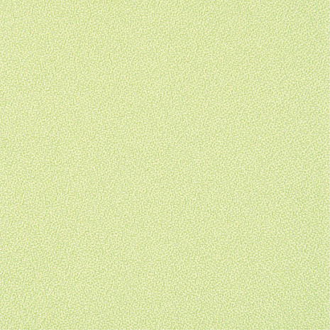 ���� ��� ����������� ����� W 70  WX200A