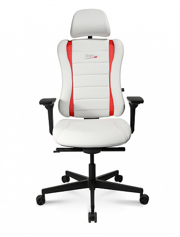 ������ ���������� � ������������� � ��������� �������� ������� �� ��� / SITNESS RS PRO