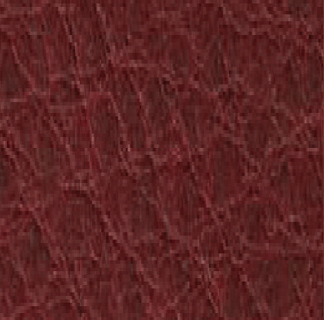 ����� ������ ������� W-CUBE 5
