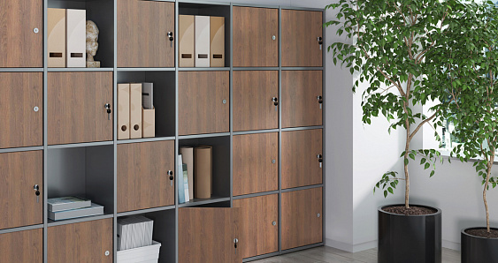 ����� ������  ����� /LOCKER