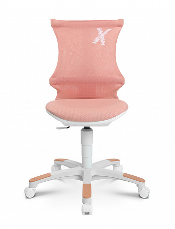 ������ ������� ��� ��������� � ��������� �������� �����  ������� �-���� 20 /SITNESS X CHAIR 20